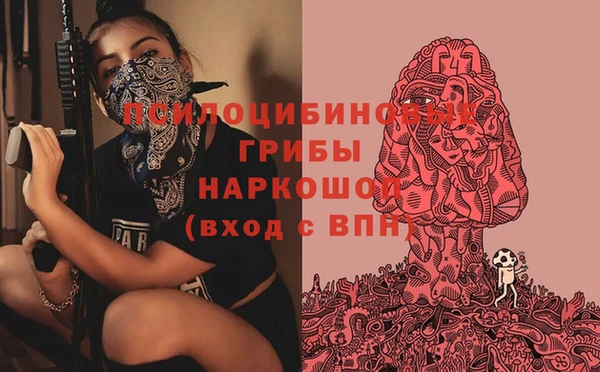 мяу мяу мука Белокуриха